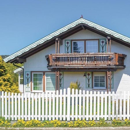 Galerie Haus Villa Braunlage Exterior foto