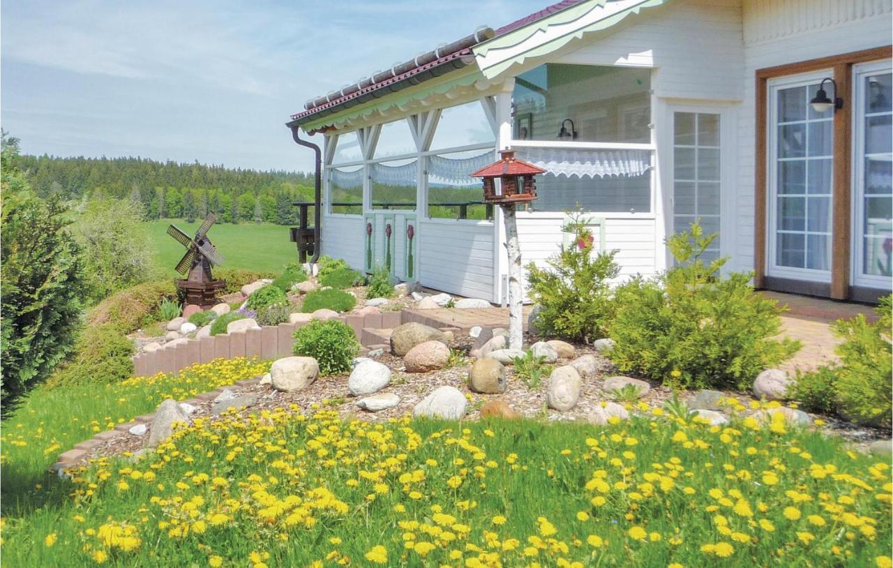 Galerie Haus Villa Braunlage Exterior foto