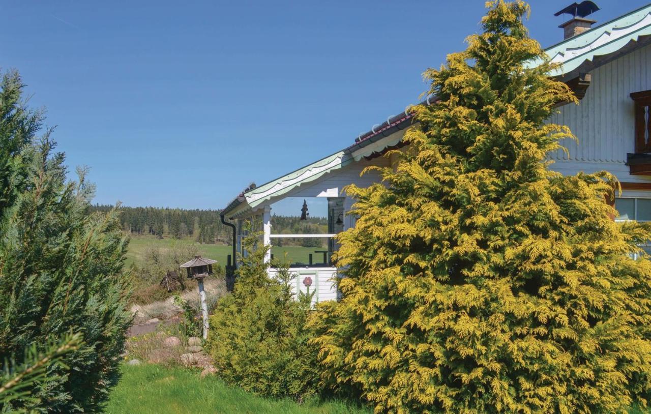 Galerie Haus Villa Braunlage Exterior foto